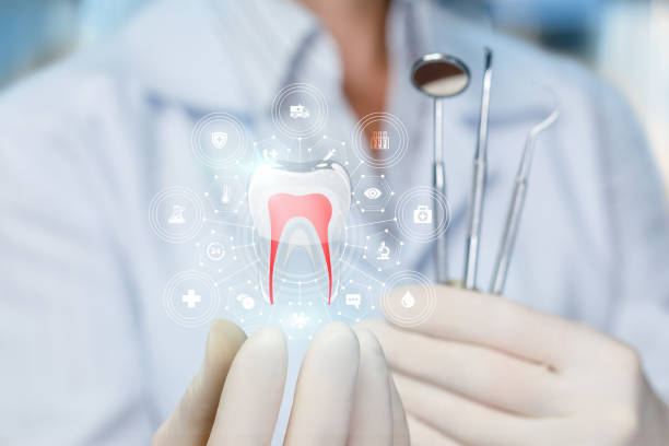  Eden, NC Dental Services Pros